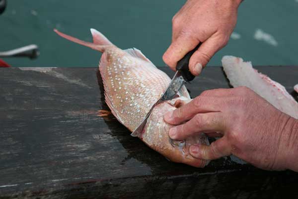 Cleaning fish